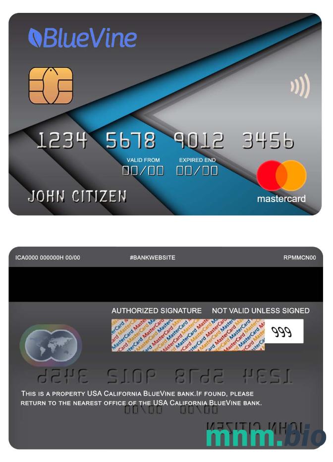 USA California BlueVine bank przykład karty mastercard w formacie PSD